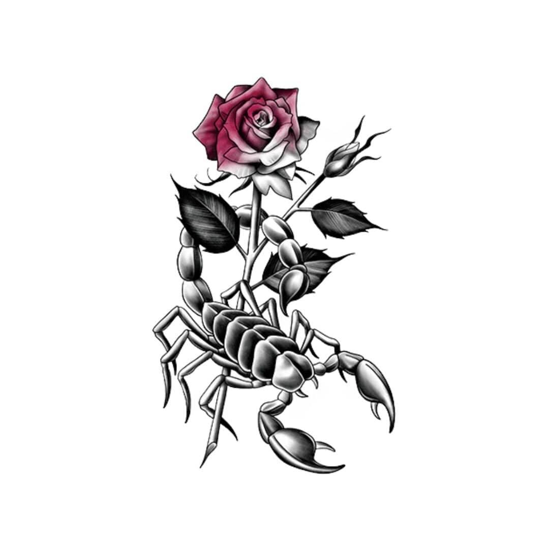 Medium Temporary Tattoo - Scorpion - tattoo numbing aftercare cream | Toochi